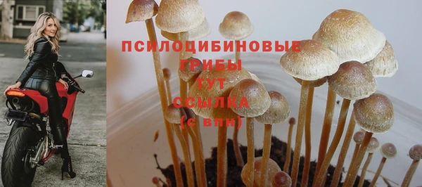 МДПВ Приозерск